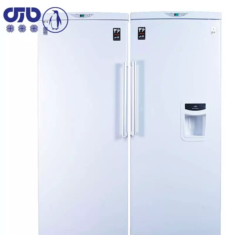یخچال فریزر دوقلو 1700 پارس